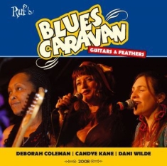 Coleman/Kane/Wilde - Bluescaravan 2008 - Guitars & Feath