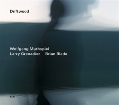 Wolfgang Muthspiel/Larry Grenadier/ - Driftwood