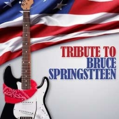Various Artists - Tribute To Bruce Springsteen i gruppen CD / Pop-Rock hos Bengans Skivbutik AB (1099939)