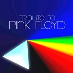 Various Artists - Tribute To Pink Floyd i gruppen CD / Pop-Rock hos Bengans Skivbutik AB (1099940)