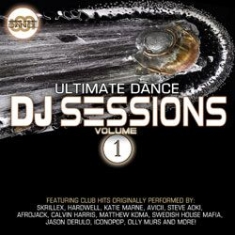 Blandade Artister - Ultimate Dance Dj Sessions Vol. 1 i gruppen CD / Dans/Techno hos Bengans Skivbutik AB (1108236)