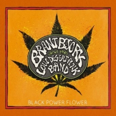 Bjork Brant & The Low Desert Punk B - Black Power Flower - Ltd.Ed.