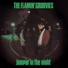 Flamin' Groovies - Jumpin' In The Night (180 G)