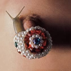 Dot Hacker - How's Your Process? (Play) i gruppen ÖVRIGT / Övrigt / aub hos Bengans Skivbutik AB (1146018)