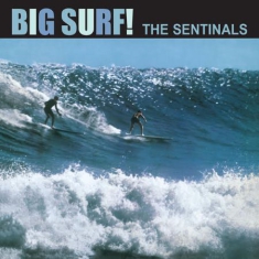 Sentinals - Big Surf!