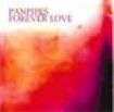 Panpipes - Forever Love i gruppen CD / Pop hos Bengans Skivbutik AB (1267018)
