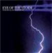 Instrumental Sounds Of Nature - Eye Of The Storm i gruppen CD / Pop hos Bengans Skivbutik AB (1267031)