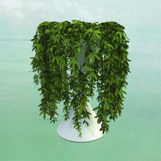 Errors - Lease Of Life