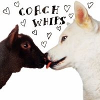 Coachwhips - Bangers Vs Fuckers