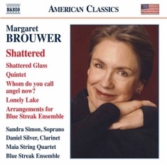 Brouwer - Shattered