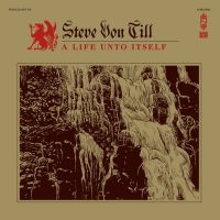 Von Till Steve - A Life Unto Itself (Vinyl Lp)