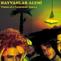 Hayvanlar Alemi - Visions Of A Psychedelic Ankara i gruppen VINYL / Rock hos Bengans Skivbutik AB (1333787)