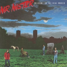 Mr. Mister - Welcome To The Real Worldá