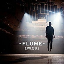Flume - Some Minds