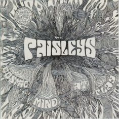 Paisleys - Cosmic Mind At Play