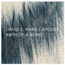 Ware David S. - Birth Of A Being (Expanded) i gruppen CD / Jazz/Blues hos Bengans Skivbutik AB (1705191)