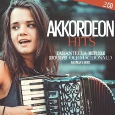 Blandade Artister - Akkordeon Hits i gruppen CD / Pop hos Bengans Skivbutik AB (1718841)