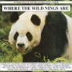 Blandade Artister - Where The Wild Nings Are i gruppen CD / Pop hos Bengans Skivbutik AB (1794646)