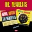 Newbeats - Bread And Butter/Big Beat Sounds i gruppen CD / Pop hos Bengans Skivbutik AB (1810574)