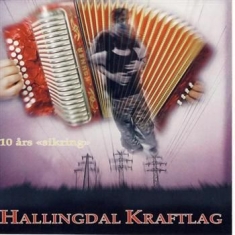 Hallingdal Kraftlag - 10 Års Sikring
