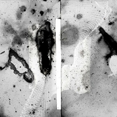 Certain Creatures - Vipassana