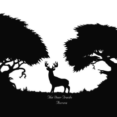 Deer Tracks - Aurora