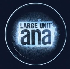 Large Unit - Ana