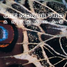 Morris Joe (Trio) - Antennae i gruppen CD / Jazz/Blues hos Bengans Skivbutik AB (1916317)