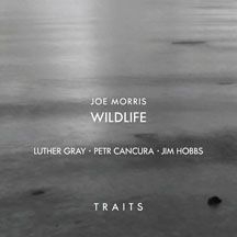 Morris Joe / Wildlife - Traits i gruppen CD / Jazz/Blues hos Bengans Skivbutik AB (1916530)