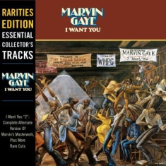 Marvin Gaye - I Want You (Vinyl)