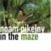 Pikelny Noam - In The Maze i gruppen CD / Country hos Bengans Skivbutik AB (1968815)