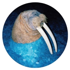 Tross - Walrus Ep (Pic Disc)