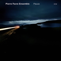 Pierre Favre Ensemble - Fleuve