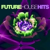 Blandade Artister - Future House Hits i gruppen CD / Dans/Techno hos Bengans Skivbutik AB (2038827)