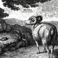 Dödsvarg - Livet Är En Dödsorsak