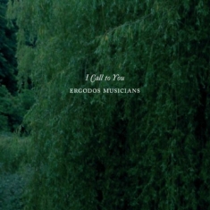 Ergodos Musicians - I Call To You