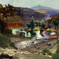 Tingsek - Amygdala (Vinyl)