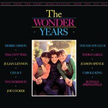 Blandade Artister - Wonder Years: Music From The Emmy A i gruppen VINYL / Film/Musikal hos Bengans Skivbutik AB (2101963)