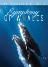 Relax: Symphony Of Whales - Film i gruppen ÖVRIGT / Övrigt / aub hos Bengans Skivbutik AB (2101981)