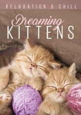 Relax: Dreaming Kittens - Film i gruppen ÖVRIGT / Musik-DVD & Bluray hos Bengans Skivbutik AB (2101983)