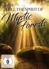 Feel The Spirit Of Mystic Forests - Special Interest i gruppen CD / Pop-Rock,Övrigt hos Bengans Skivbutik AB (2236273)