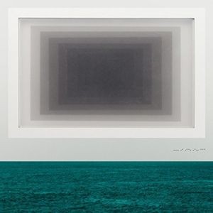 Twin Limb - Haplo (Vinyl)