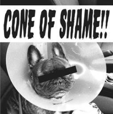 Faith No More - Cone Of Shame (Clear Vinyl)