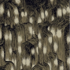 Debrauw Trevor - Uptown