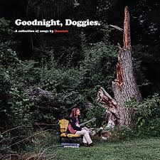 Dominic Angelella - Goodnight, Doggies. i gruppen CD / Pop-Rock hos Bengans Skivbutik AB (2370075)