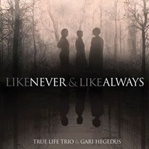 True Life Trio & Gari Hegedus - Like Never & Like Always i gruppen VINYL / Elektroniskt hos Bengans Skivbutik AB (2370077)
