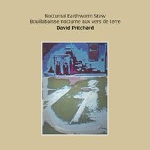 Pritchard David - Nocturnal Earthworm Stew i gruppen CD / Dans/Techno hos Bengans Skivbutik AB (2370238)