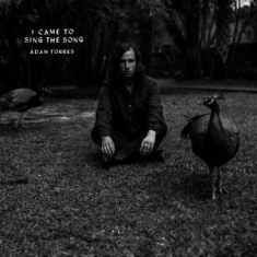 Torres Adam - I Came To Sing The Song