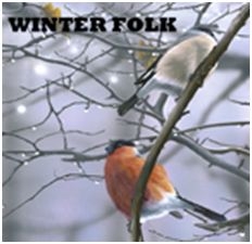 Blandade Artister - Winter Folk i gruppen CD / Övrigt hos Bengans Skivbutik AB (2392044)