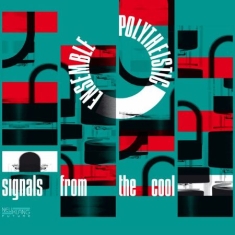 Polytheistic Ensemble - Signals From The Cool